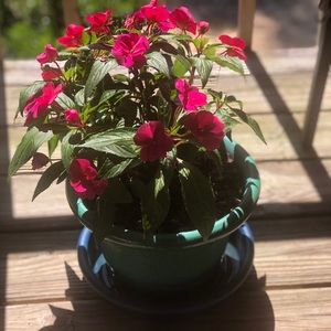 Meet your Posher, Deidra